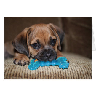 Blue bone cards