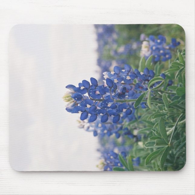 Blue Bonnet Mouse Pad (Front)