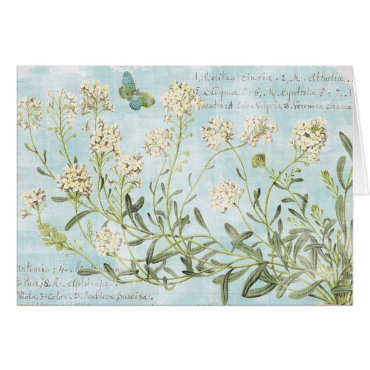 Blue Botanical Cards (Front Horizontal)