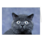 Blue Boy (Front Horizontal)