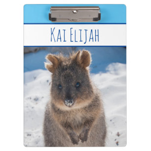 Blue Boys Custom Name Quokka on the Beach Clipboard