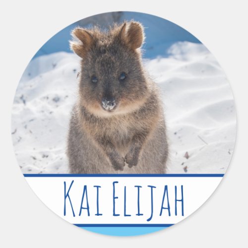 Blue Boys Personalized Quokka Beach Sticker