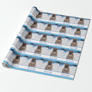 Blue Boys Personalized Quokka on the Beach