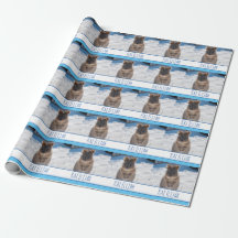 Blue Boys Personalized Quokka on the Beach