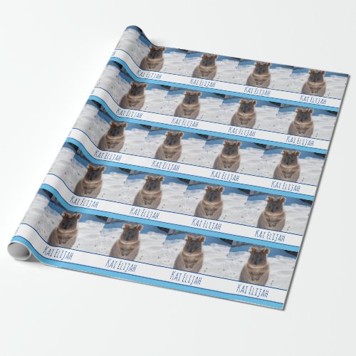 Blue Boys Personalized Quokka on the Beach Wrapping Paper