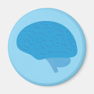 Blue Brain Magnet