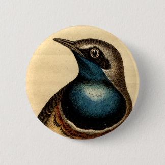 Blue Breasted Bird Pinback Button