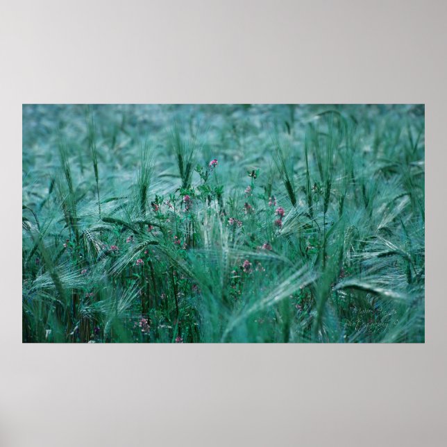 Blue Breath Poster (Front)