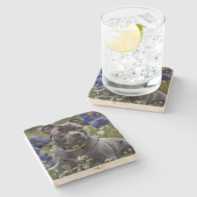 "Blue Brindle Beauty: A Staffy in Blue Roses Stone Coaster (Side)