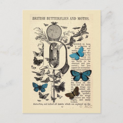 Blue British Butterflies and Moths Postcard