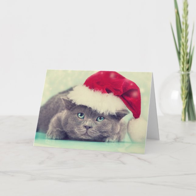 Blue British Cat Purr-fect Holiday Season (Front)