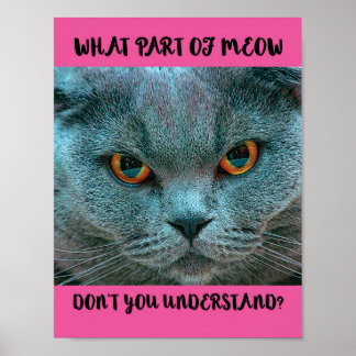 Blue British Shorthair Cat funny and humorous Poster