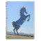 Blue Bronco Notebook