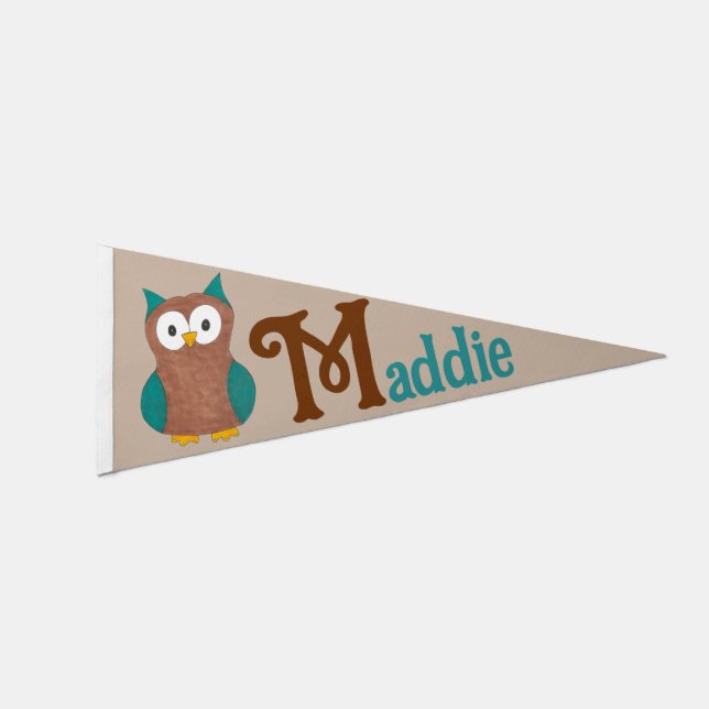 Blue Brown Cute Cartoon Barn Owl Bird Doodle Pennant Flag (Front)