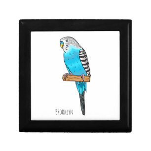 Blue budgerigar bird cartoon illustration  gift box
