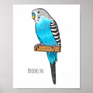 Blue budgerigar bird cartoon illustration poster