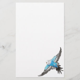 Blue Budgerigar Parakeet Stationery