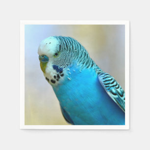 Blue budgerigar perched postcard square sticker T- Napkins
