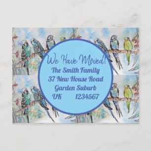 Blue Budgie Art New Address Postcard We Are Moving