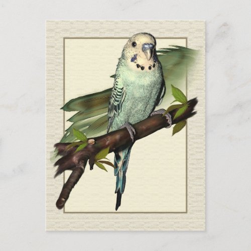 Blue Budgie Art Postcard