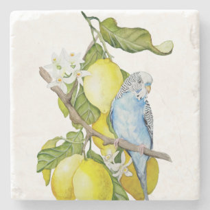Blue Budgie in Lemon Tree Watercolor Botanical Art Stone Coaster