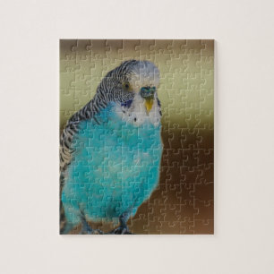 Blue Budgie Jigsaw Puzzle