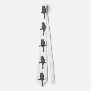 Blue Budgie Neck Tie