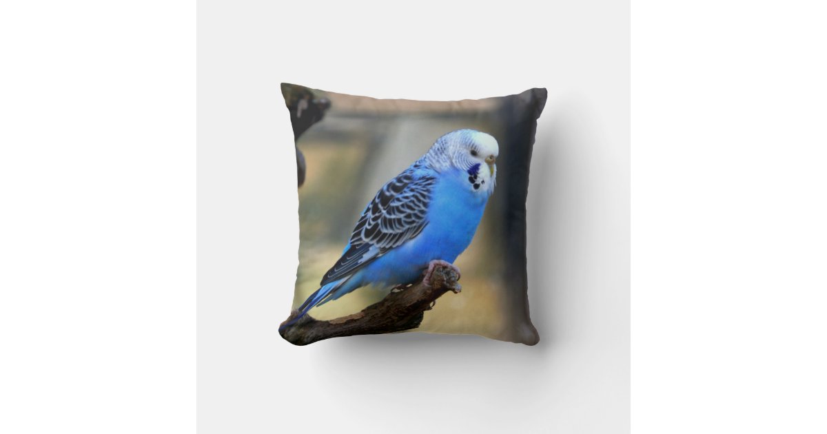 Blue Budgie Parrot Parakeet Throw Pillow | Zazzle