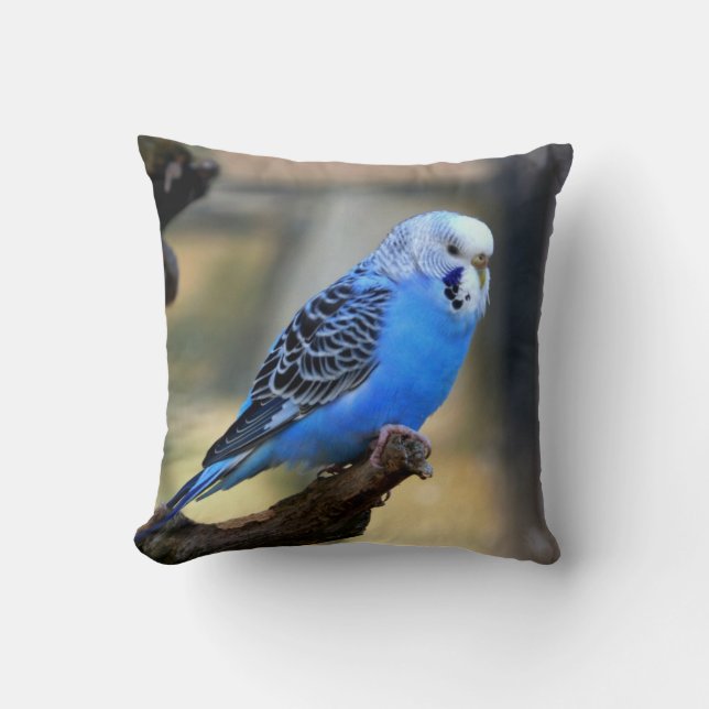 Blue Budgie Parrot Parakeet Throw Pillow (Front)