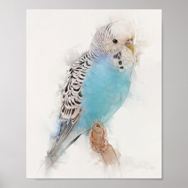 Blue Budgie Portrait Poster (Front)