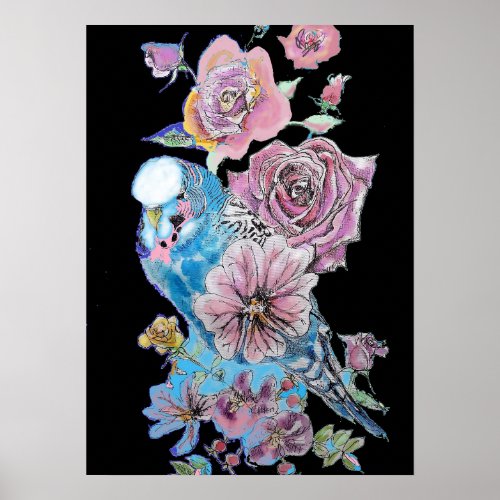Blue Budgie Red Rose Black Watercolour art Poster