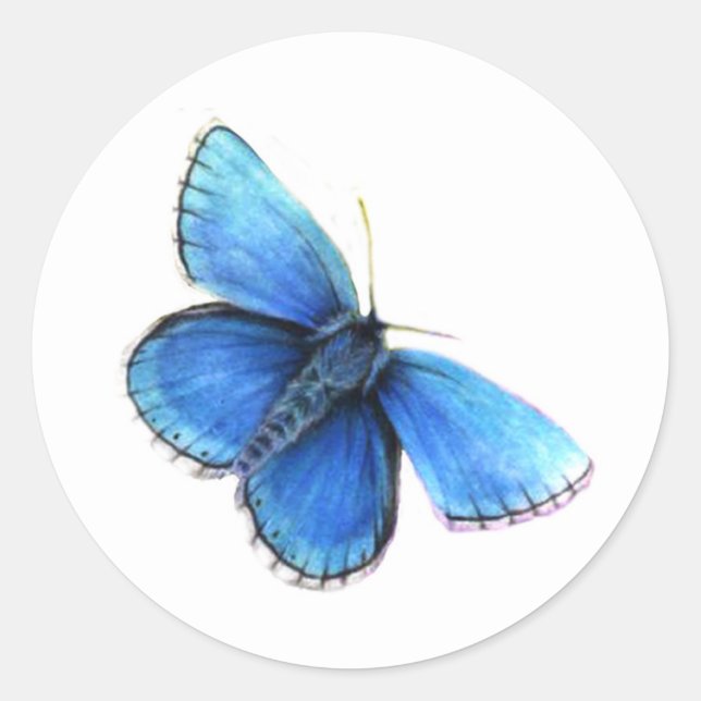 Blue buterfly eden logo watercolor stickers (Front)
