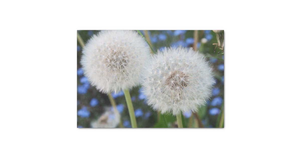 Dandelion Tissue Paper Flowers