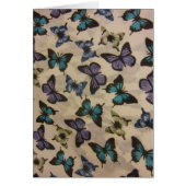 Blue Butterflies (Front)
