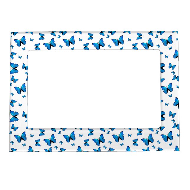 Blue butterflies  magnetic frame (Front)