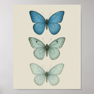 Blue Butterflies on Parchment - Vintage Nature Art Poster