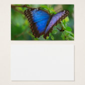 Blue Butterfly (Front & Back)