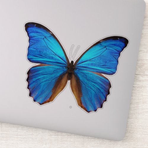 Blue Butterfly 2 Sticker