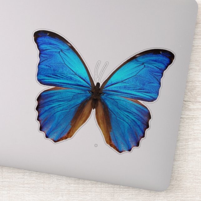 Blue Butterfly 2 Sticker (Detail)