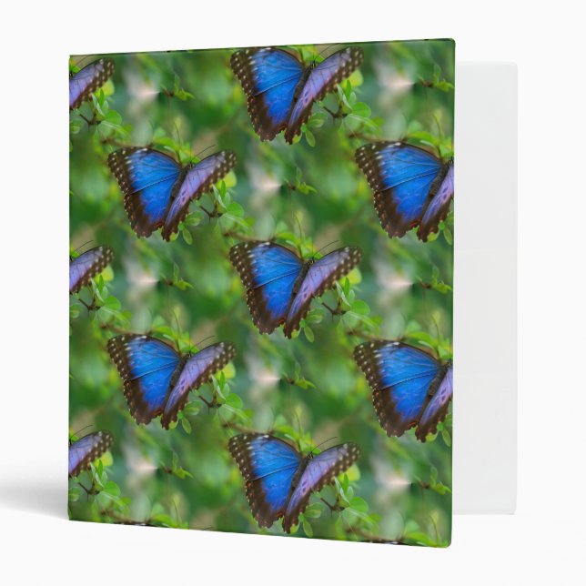 Blue Butterfly 3 Ring Binder (Front/Inside)
