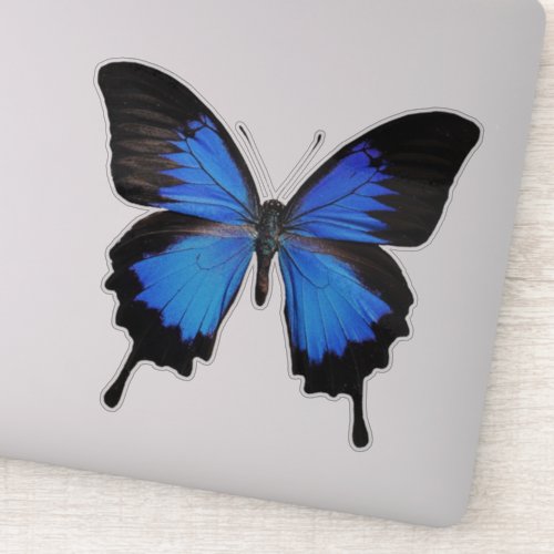 Blue Butterfly 3 Sticker