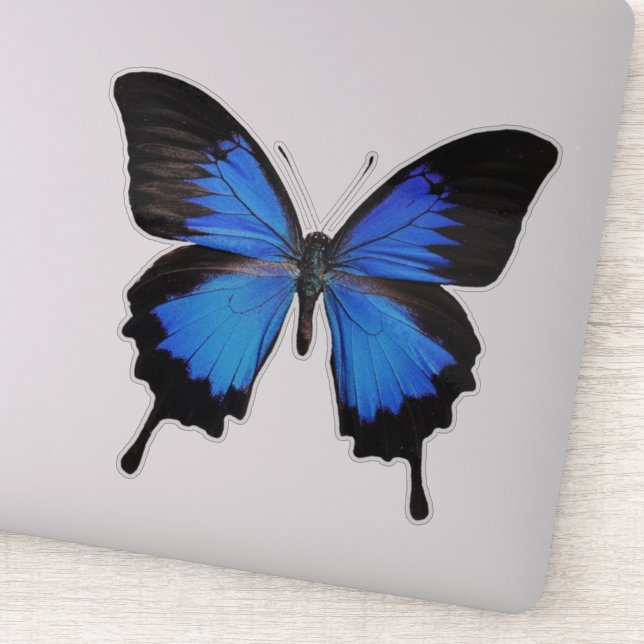 Blue Butterfly 3 Sticker (Detail)