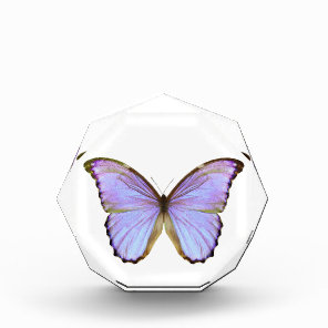 Blue Butterfly Acrylic Award