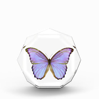 Blue Butterfly Acrylic Award