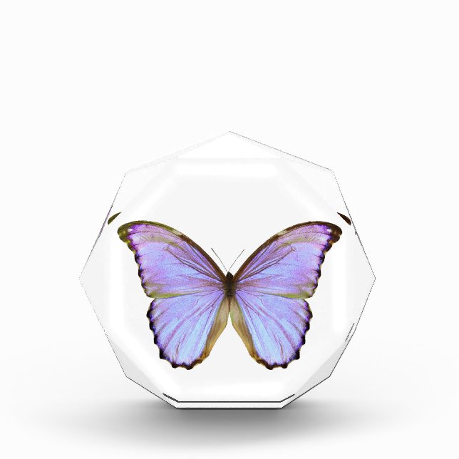 Blue Butterfly Acrylic Award (Front)