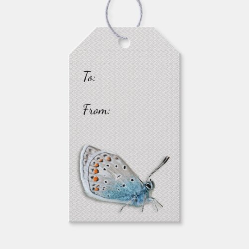 Blue Butterfly All Occasion Gift Tag