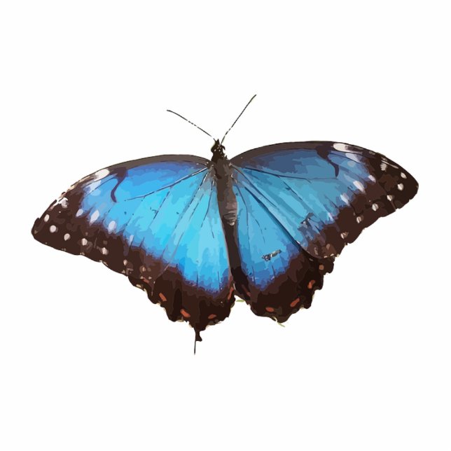 Blue Butterfly Animal Pattern Peace Love Destiny Cutout (Front)