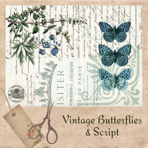 BLUE BUTTERFLY APOTHECARY TISSUE PAPER