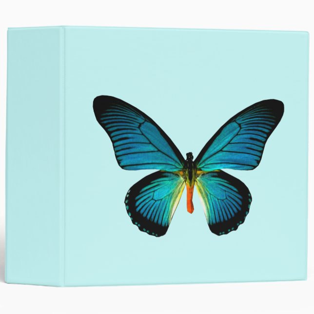 Blue Butterfly Binder (Front/Spine)