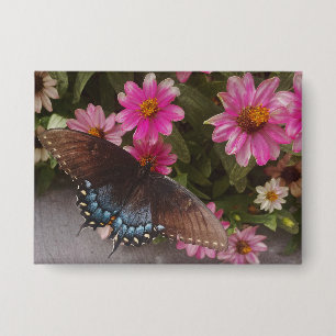 blue butterfly button